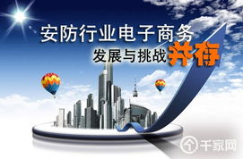 安防行業(yè)電子商務發(fā)展與挑戰(zhàn)并存 計算機技術的推動與阻礙